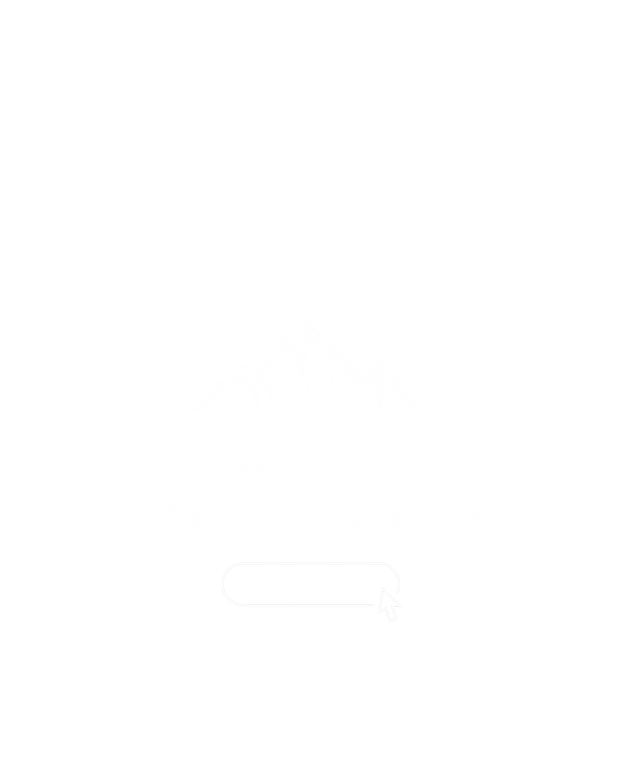 Serwis Amortyzatorów